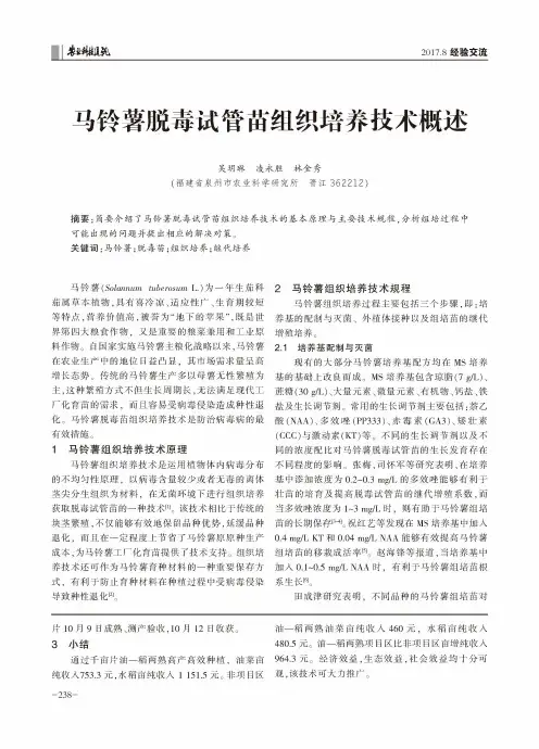 马铃薯脱毒试管苗组织培养技术概述