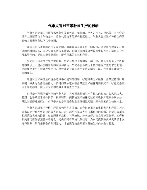 气象灾害对玉米种植生产的影响