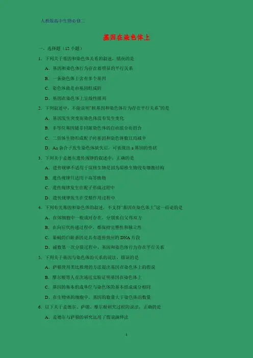 高中生物必修二课时作业22：2.2 基因在染色体上