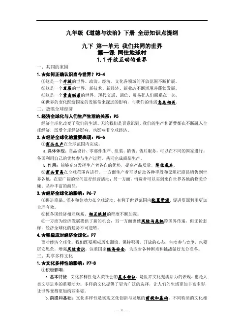 全册知识点总结-部编版道德与法治九年级下册