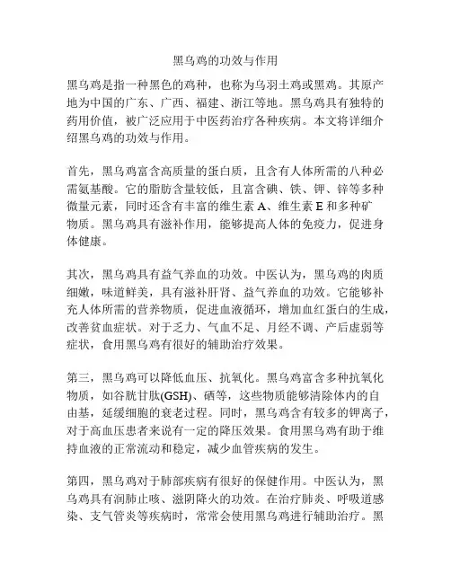 黑乌鸡的功效与作用