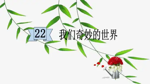 《我们奇妙的世界》PPT—人教部编版我们奇妙的世界优质课课件4