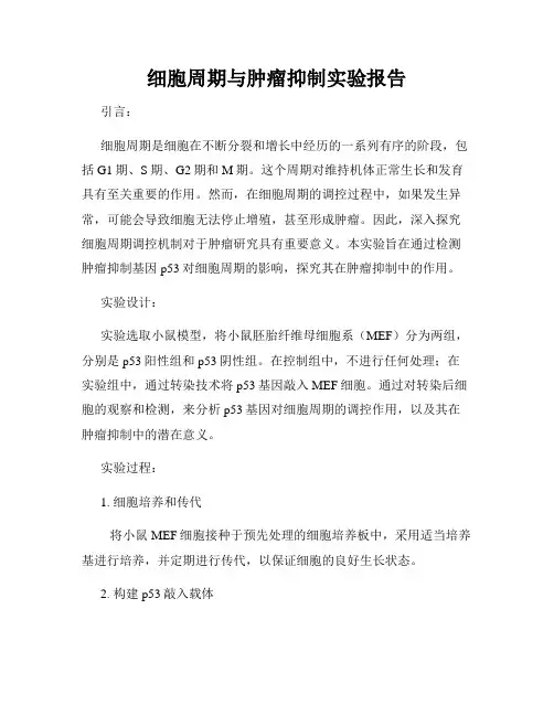 细胞周期与肿瘤抑制实验报告