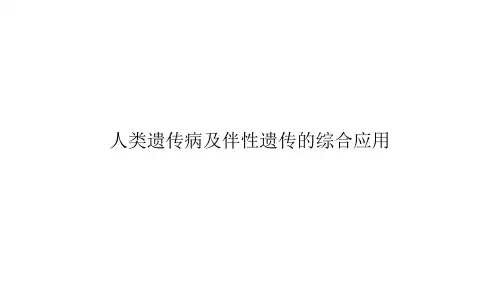 人类遗传病及伴性遗传的综合应用ppt文档