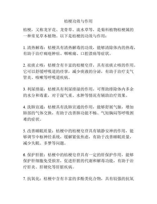 桔梗功效与作用