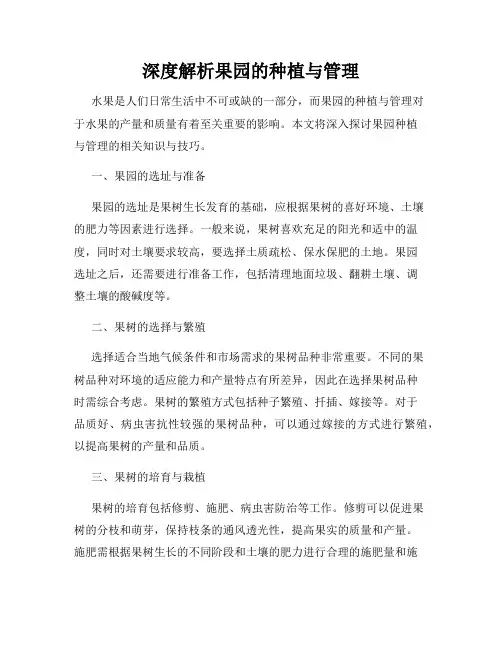 深度解析果园的种植与管理