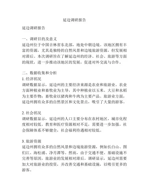 延边调研报告