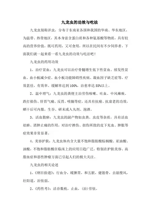九龙虫的功效与吃法