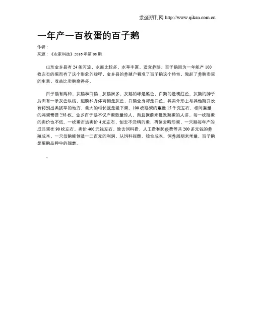一年产一百枚蛋的百子鹅