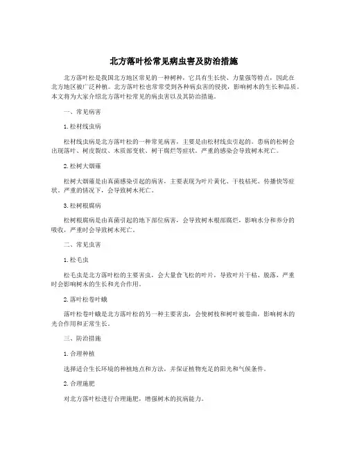 北方落叶松常见病虫害及防治措施