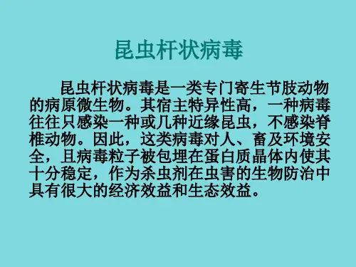昆虫杆状病毒杀虫剂