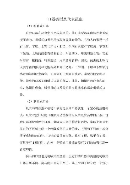 口器类型及代表昆虫