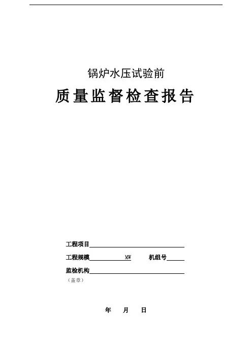 推荐-新版锅炉水压试验前质量监督检查报告典型表式 精品