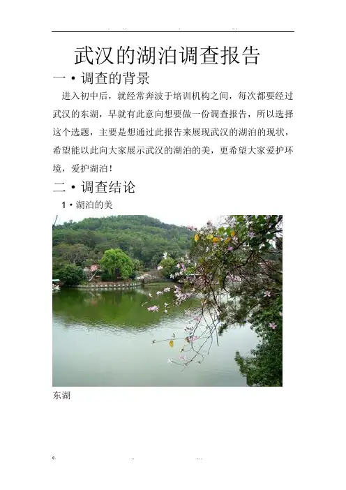 武汉的湖泊调查报告
