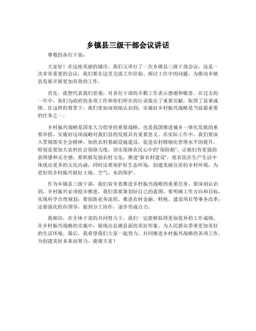 乡镇县三级干部会议讲话