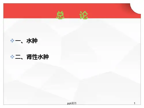 肾性水肿ppt课件