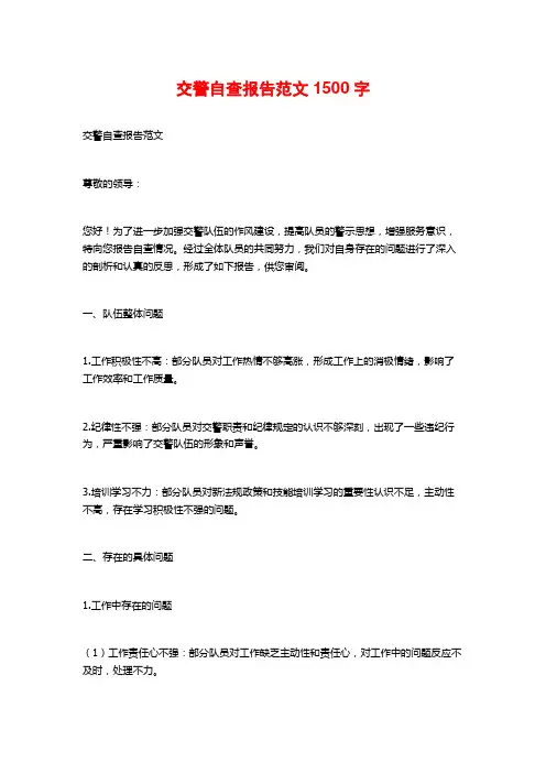 交警自查报告范文