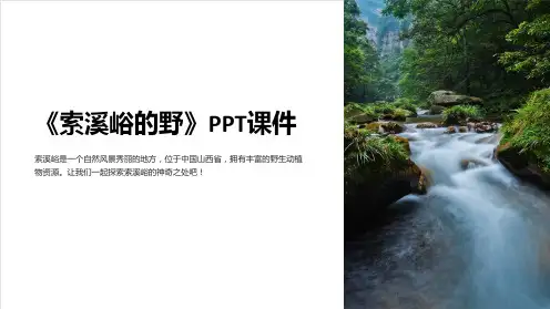 《索溪峪的野》课件