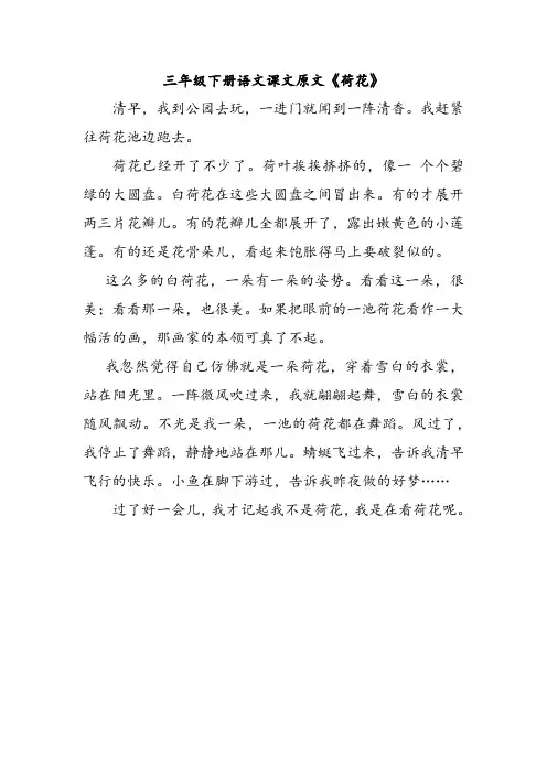 三年级下册语文课文原文《荷花》