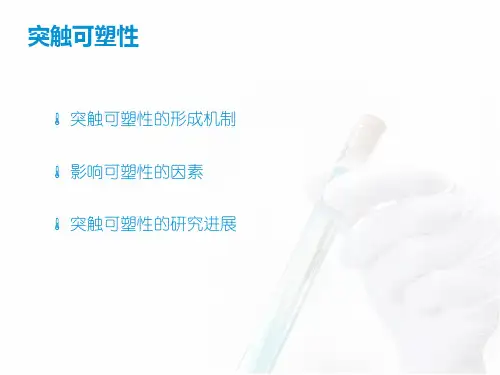 突出可塑性与学习记忆的关系