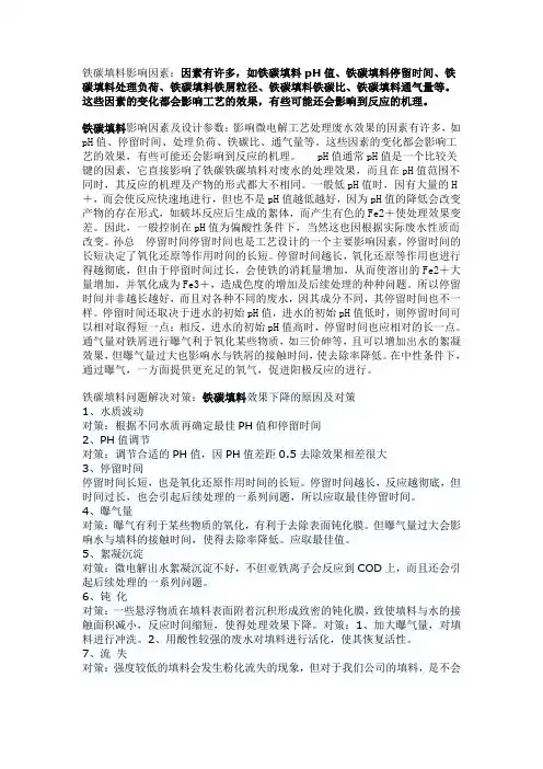 铁碳填料影响因素