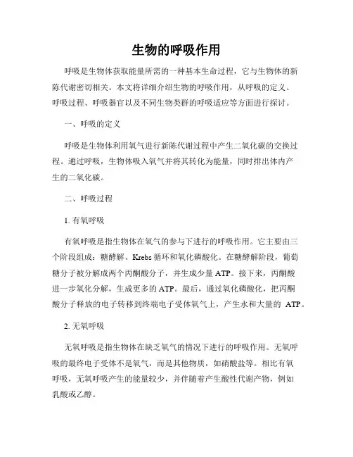 生物的呼吸作用