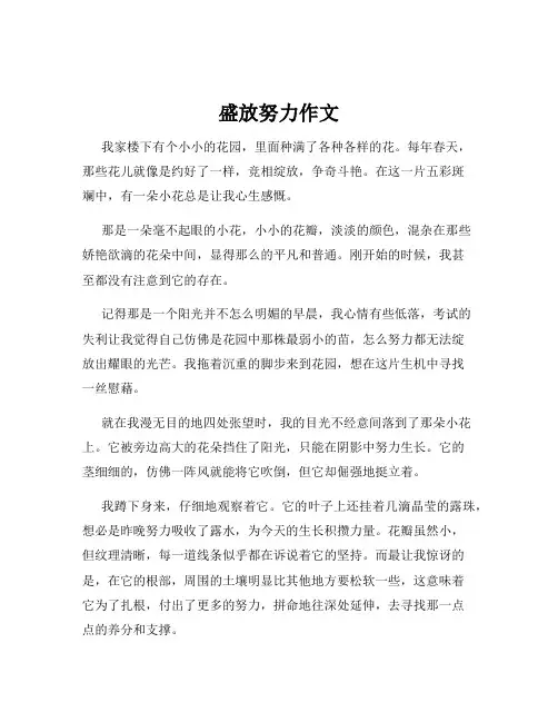 盛放努力作文