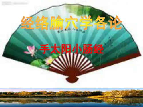 手太阳经络与腧穴