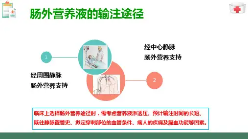 营养支持病人的护理—肠外营养病人的护理