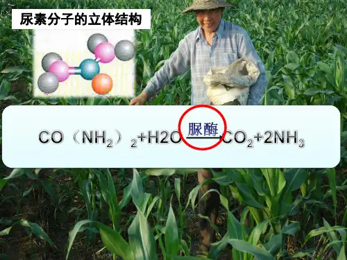 2-2 土壤中分解尿素的细菌的分离与计数总结