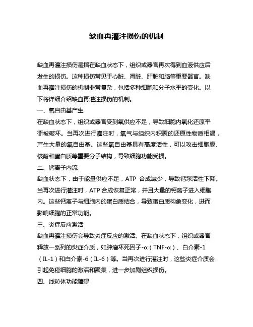 缺血再灌注损伤的机制