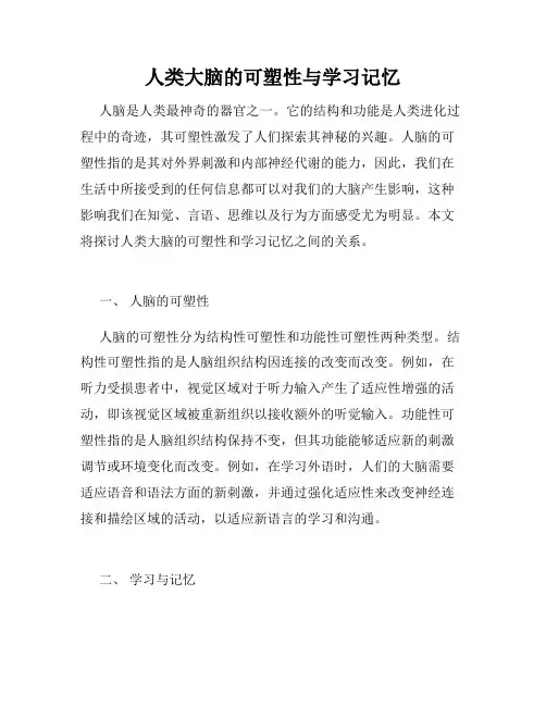 人类大脑的可塑性与学习记忆