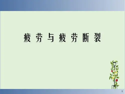 4.疲劳与疲劳断裂解析