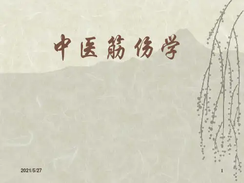 中医筋伤的治疗【优质PPT】