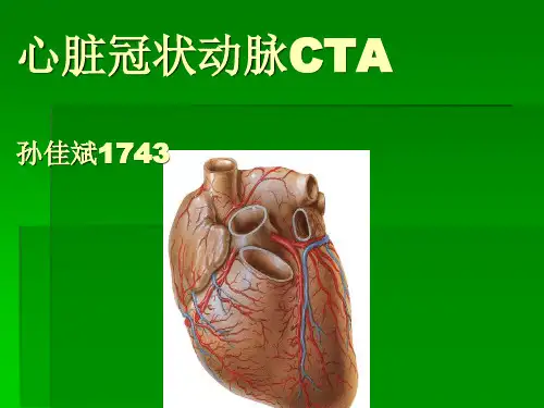 心脏冠脉CTA ppt课件