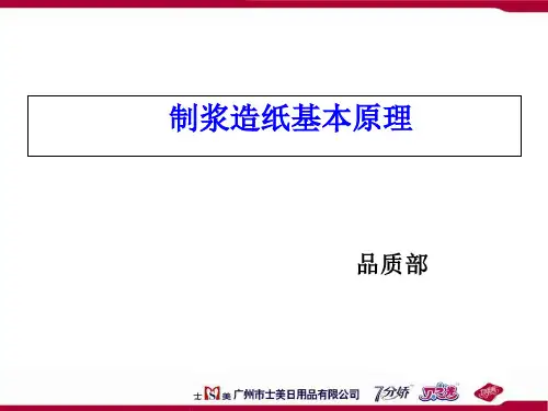 制浆造纸基本原理 (2)
