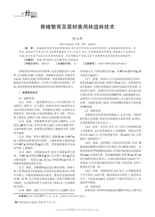 香椿繁育及菜材兼用林造林技术