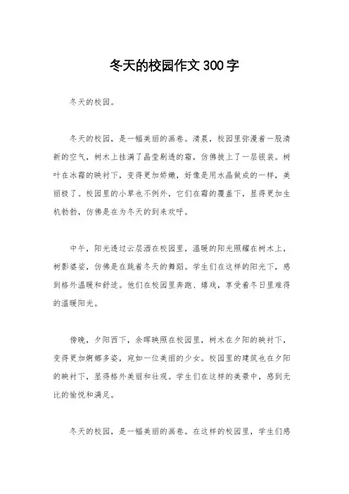 冬天的校园作文300字