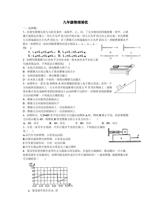 九年级物理培优(复习)