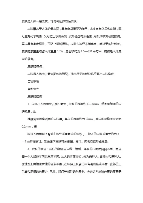 皮肤生理学