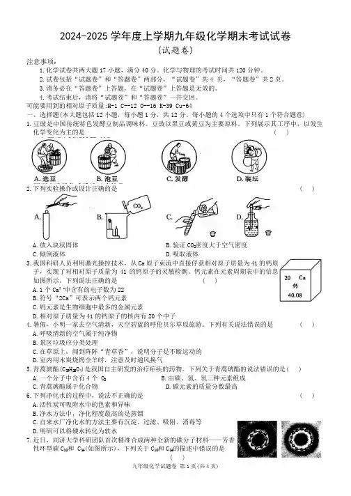 2024-2025学年度上学期九年级化学期末考试试卷