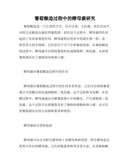 葡萄酿造过程中的酵母菌研究