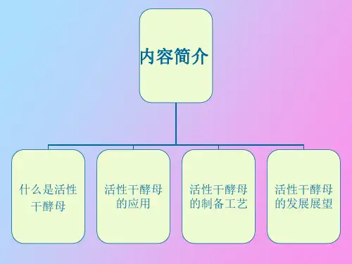 活性干酵母制作工艺