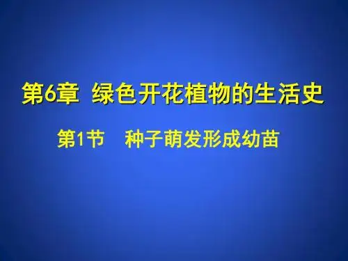 北师大版生物6.1种子的结构(第1课时)【精品课件】