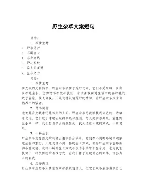 野生杂草文案短句
