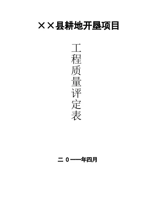 土地整理项目质量评定表格