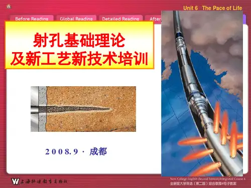 射孔基础及新技术