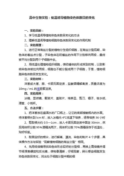 高中生物实验：低温诱导植物染色体数目的变化
