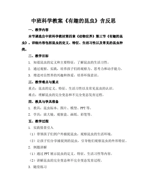 中班科学教案《有趣的昆虫》含反思