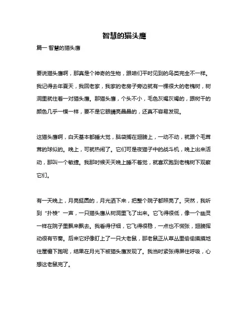 作文《智慧的猫头鹰》